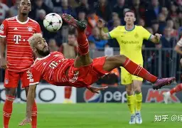 半岛体育-都灵球队近期战绩