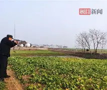 半岛体育-公牛队伤病名单